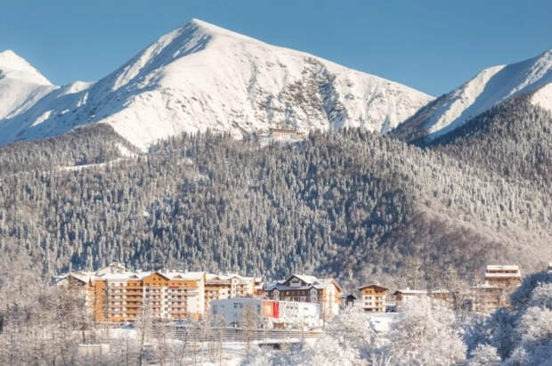 Сноубордисты в Красной Поляне наткнулись на медведицу с медвежатами