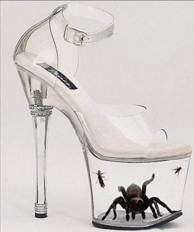 Туфли с пауком