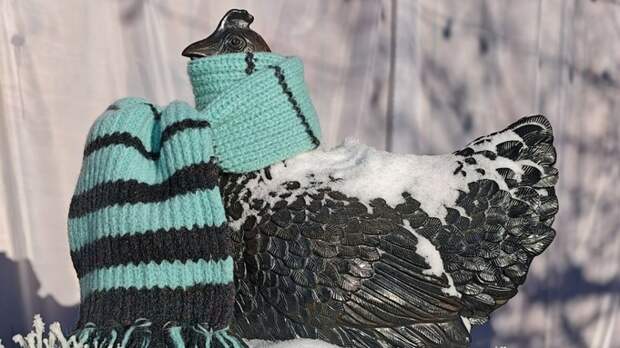 Скульптуры в барнаульском зоопарке утеплили яркими шарфами в сибирские морозы