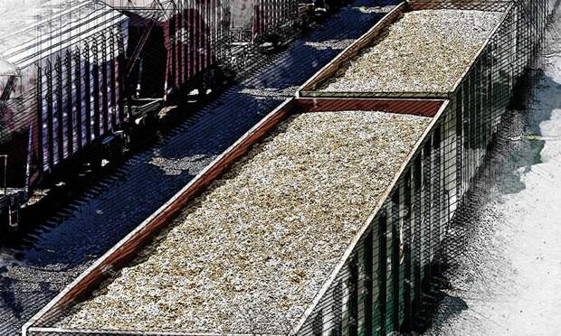 В Орловской области резко увеличилось количество вывезенного зерна