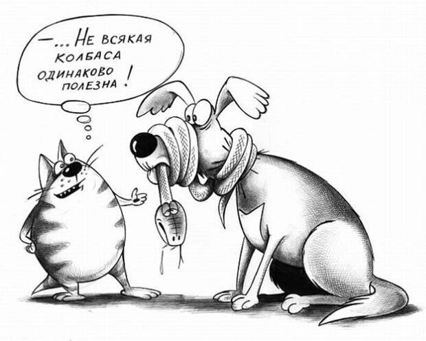 Животный юмор животные в юморе ., карикатуры, рисунки, юмор