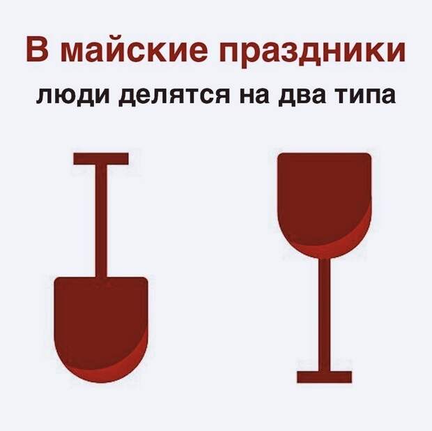 Веселые картинки и забавные фото с надписями со смыслом - Веселье ...