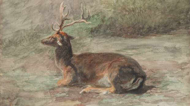 Роза Бонёр, «Лежащий олень», 1870-е гг.