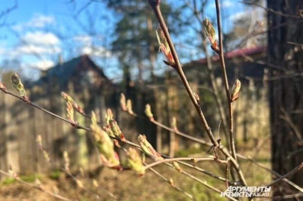 Синоптик Позднякова спрогнозировала похолодание к концу недели в Москве