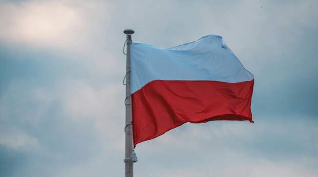 Польша заподозрила Россию в публикации сообщений о мобилизации в стране