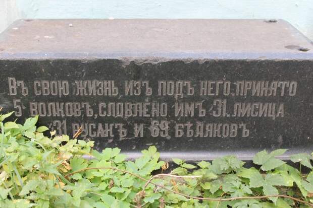 Гигантская мелкобуржуазная волна и ее последствия
