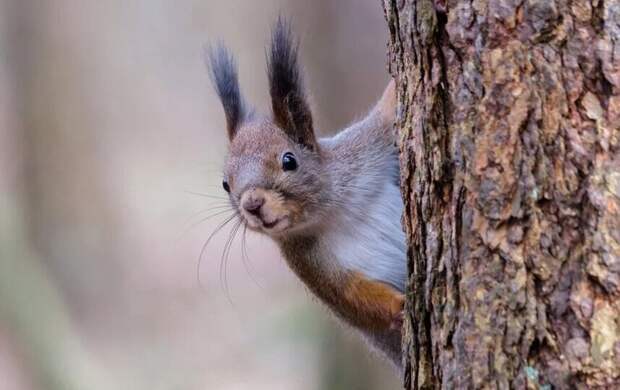 Облака и дожди ограничат прогрев Петербурга 31 марта