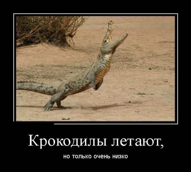 Демотиваторы (30 фото)