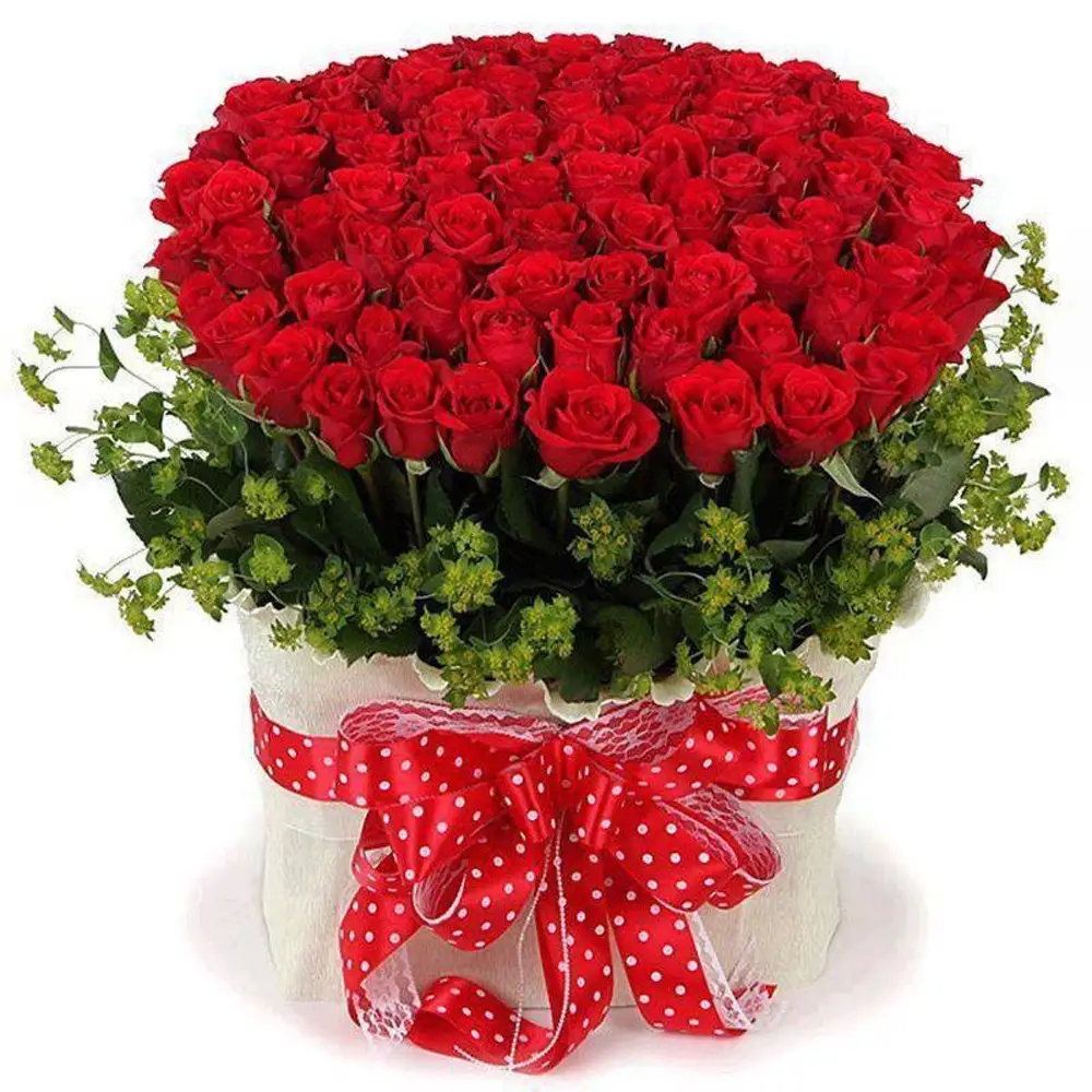 Поздравляю красные розы