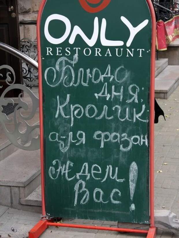 Прикольные картинки прикол, фото, юмор