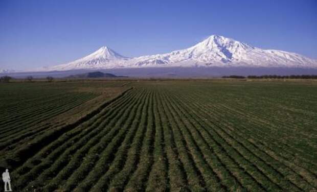 Удивительно, но национальный символ Армении, гора Арарат, расположена на территории другого государства - Турции.