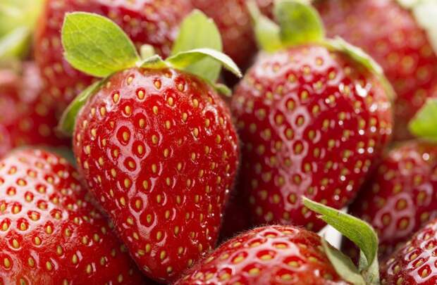 Не только вкусная, но и полезная: 7 причин чаще есть клубнику