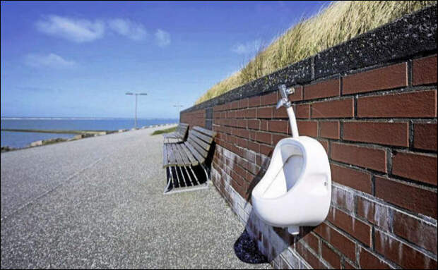 фото приколы