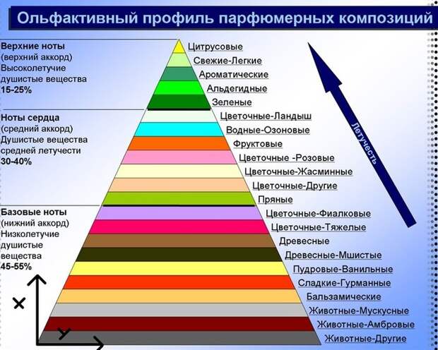 От чего зависит продолжительность аромата на коже? длиннопост, парфюмерия, парфюм