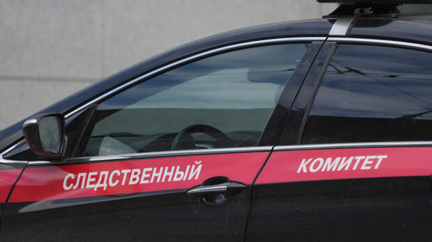 Девочка-маугли: из-за ребенка без документов в Башкирии возбудили дело