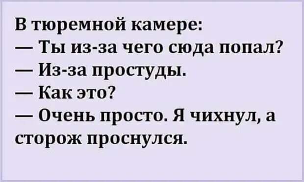 Уважаемые друзья! Часто в различных источниках можно прочесть анекдоты, от которых порой не знаешь — смеяться или плакать.-12