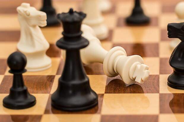 Шахматы. Фото: pixabay.com