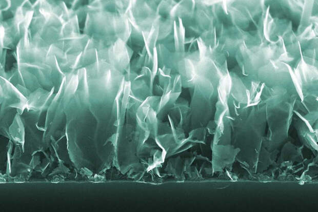 НИУ ВШЭ: ключевые направления развития материалов связаны с медициной и энергетикой