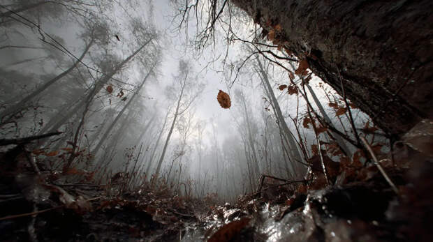 Пропавшие под Звенигородом трое детей могли утонуть