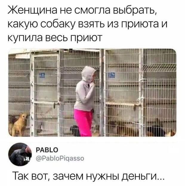 Смешные картинки с подписями (20 фото)