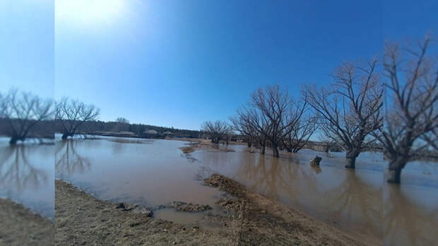 Пять приусадебных участков остаются подтопленными в Алтайском крае