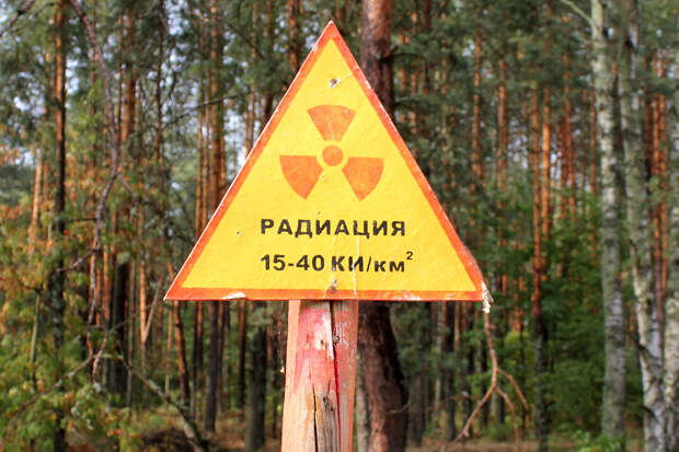 Атомщик рассказал, что случится при поражении секретного израильского центра в Димоне