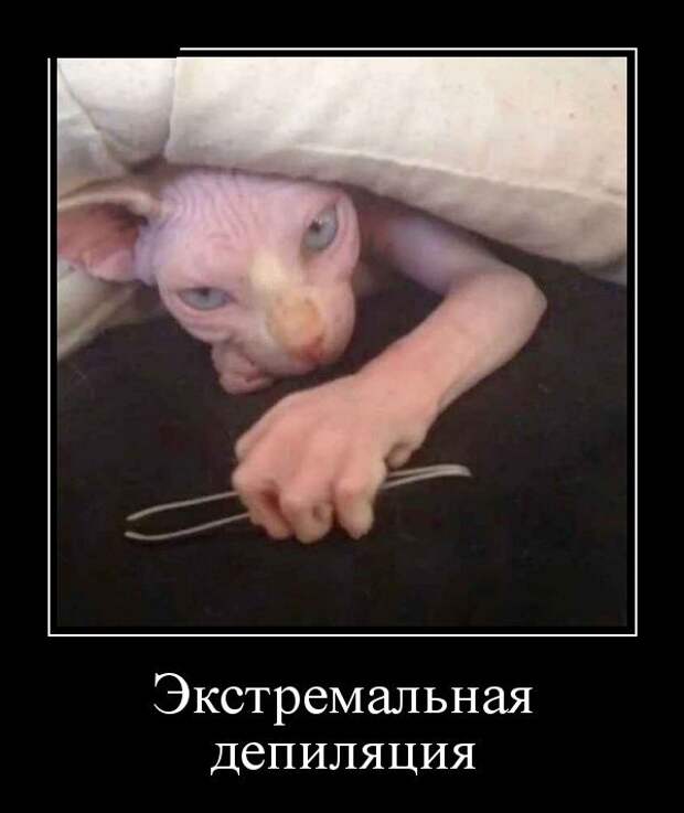 Демотиваторы (30 фото)