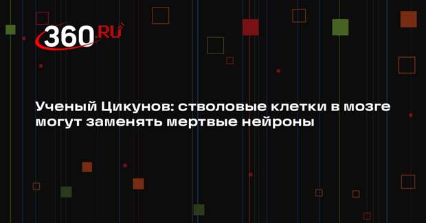 Ученый Цикунов: стволовые клетки в мозге могут заменять мертвые нейроны