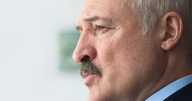 Пропаганда Лукашенко ещё способна удивлять своим отборным идиотизмом – журналист Пропаганда Лукашенко ещё способна удивлять своим отборным идиотизмом – журналист