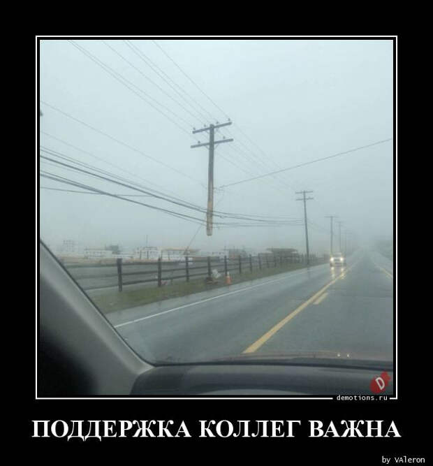 Демотиваторы в конце недели: «Поддержка коллег важна»