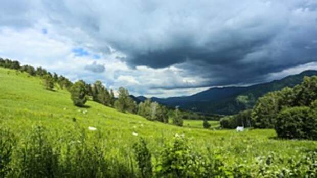 Горный Алтай / Фото: Екатерина Смолихина / amic.ru