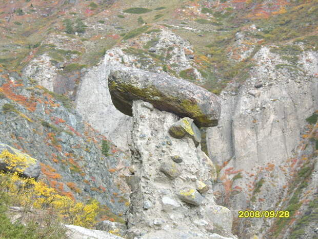 «Донорская память» - нужна ли она людям?