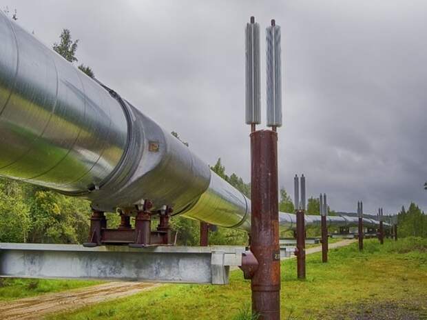 Бывший сотрудник «Нафтогаза» спрогнозировал передачу США украинской трубопроводной системы
