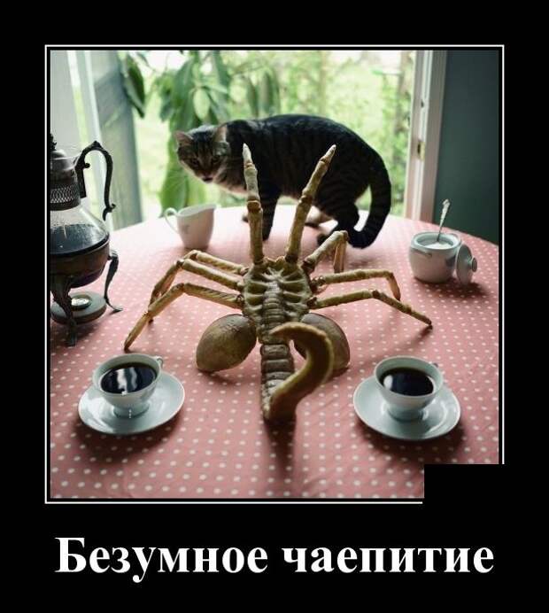 Демотиваторы (30 фото)