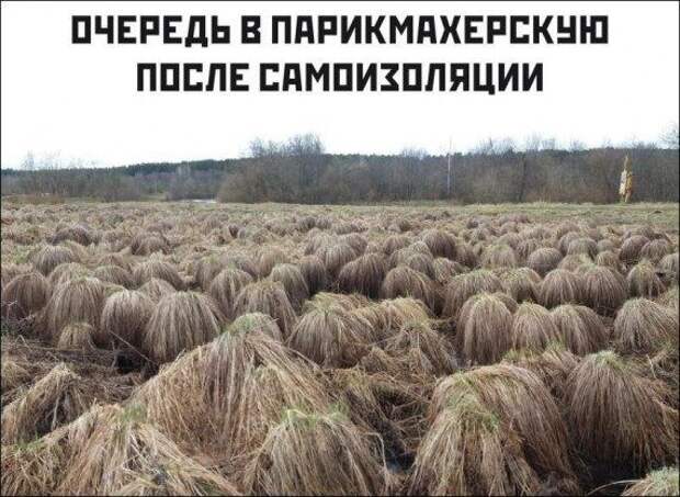 Прикольные картинки в ассортименте!!!