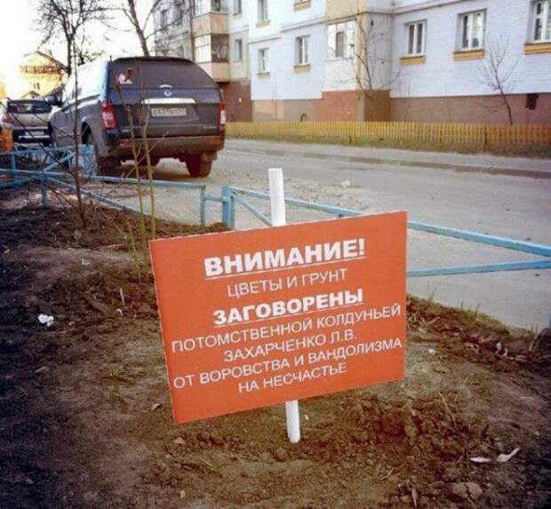 Родовое проклятье вам обеспечено. | Фото: Пикабу. Родовое проклятье вам обеспечено. | Фото: Пикабу.