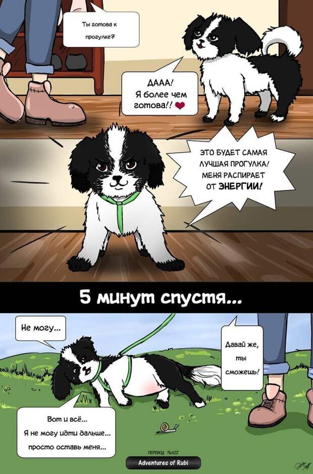 17 комиксов о жизни собачки Руби, которые развеселят каждого, кто хотя бы день прожил с собакой домашний питомец, комикс, позитив, рисунок, собака, умора, юмор