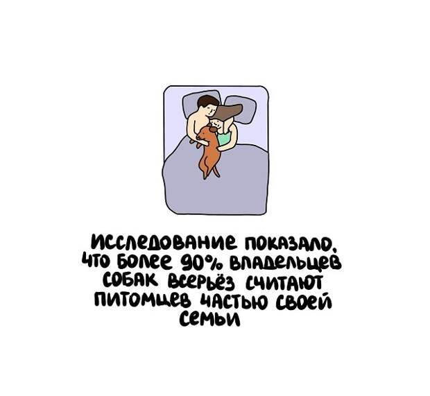 Короткие и интересные факты на все случаи жизни