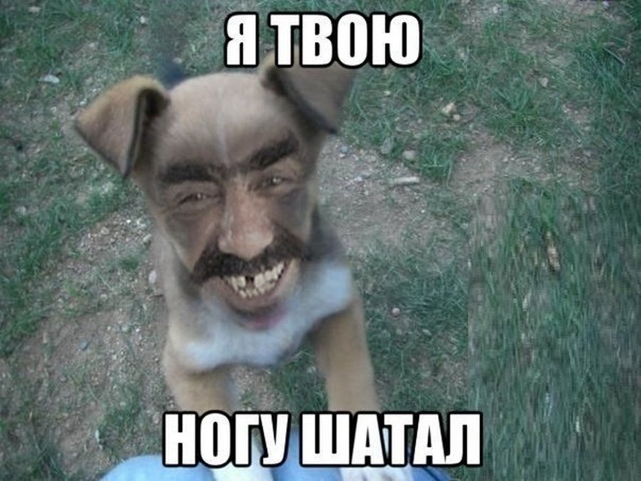 30 прикольных картинок