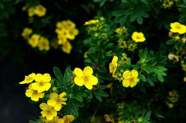 Источник: Shutterstock/Fotodom.ru