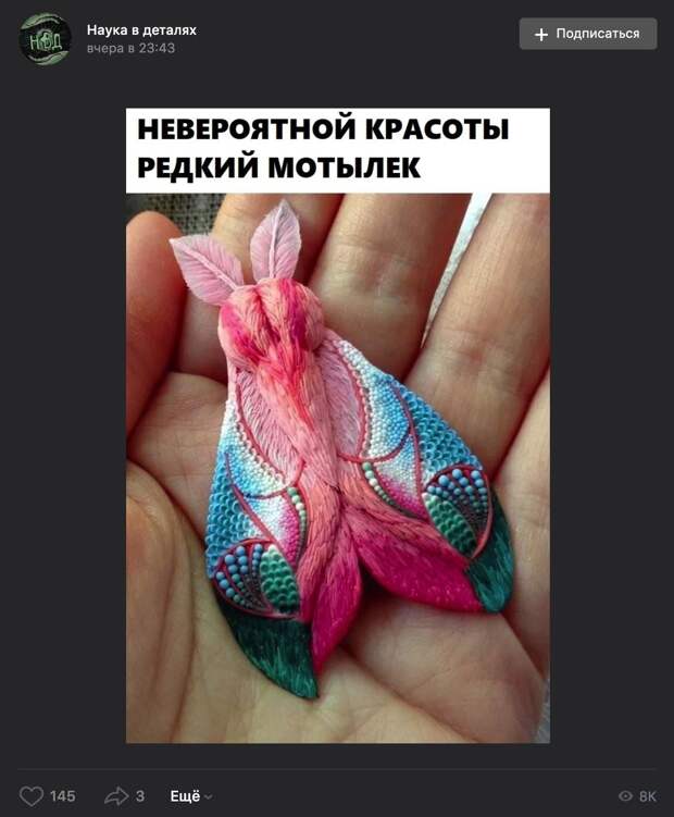 Люди, которые на знают как выглядят насекомые на самом деле сразу поверят, что эта работа из полимерной глины от Дарьи Телегиной настоящий мотылек