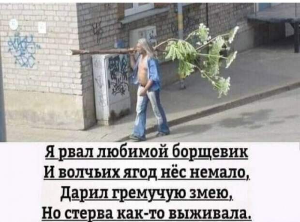 Юмор на любителя Юмор на любителя