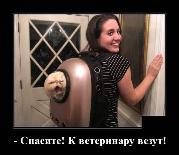 Демотиваторы (30 фото)