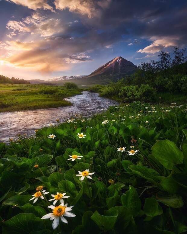 kartinok-veselyh-interesnyh-kartinki-smeshnye-kartinki-fotoprikoly kartinok-veselyh-interesnyh-kartinki-smeshnye-kartinki-fotoprikoly