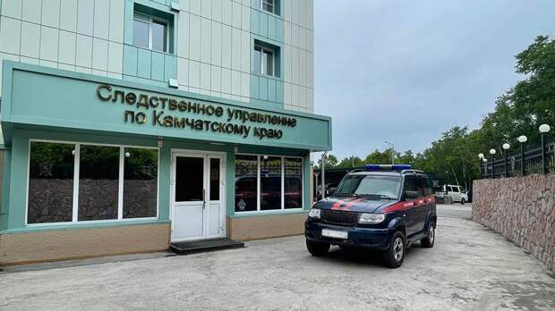 На Камчатке подросток выстрелил в ребенка из пневматического оружия