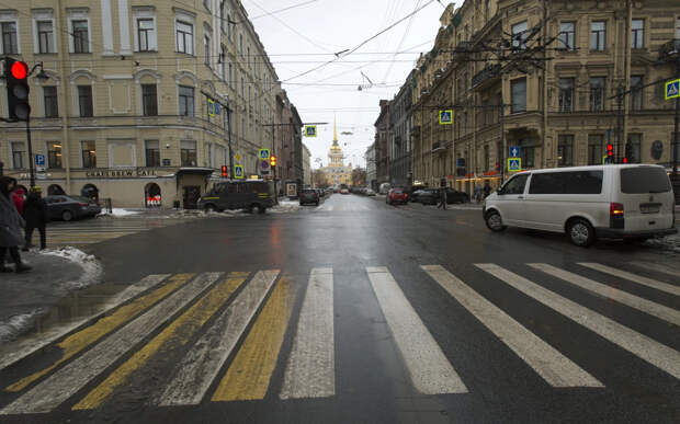 В Петербурге расцветают подснежники. Тепло в городе будет ещё как минимум неделю