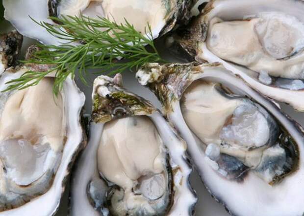 Неожиданно полезно: устрицы. Неожиданно полезно: устрицы.