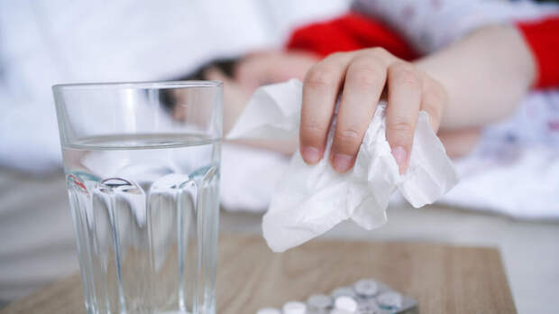 Вирусолог Малинникова рассказала о разнице между аллергией и простудой