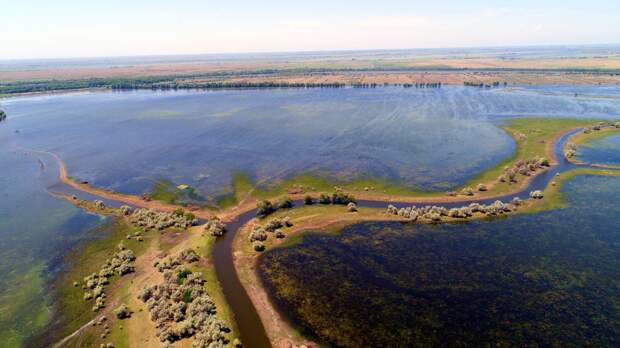 Воды ждем больше нормы, но насколько? Сергей Шипулин – об уровне половодья и нересте рыбы