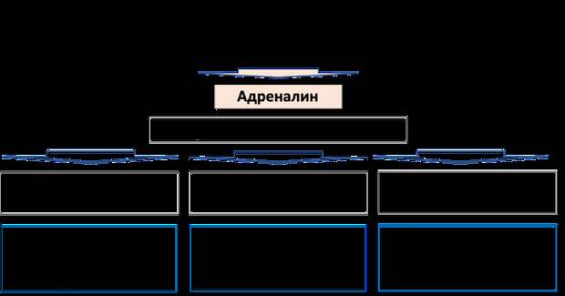 Механизм реализации реакции «бей или беги»